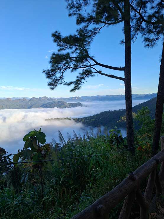 Open Hearts Helping Hands